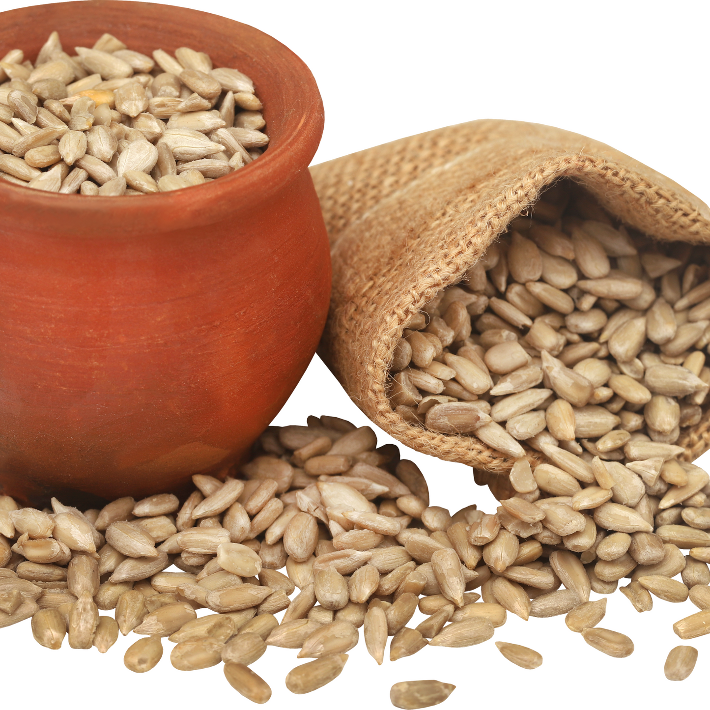 Sunflower Seeds | सूरजमुखी के बीज