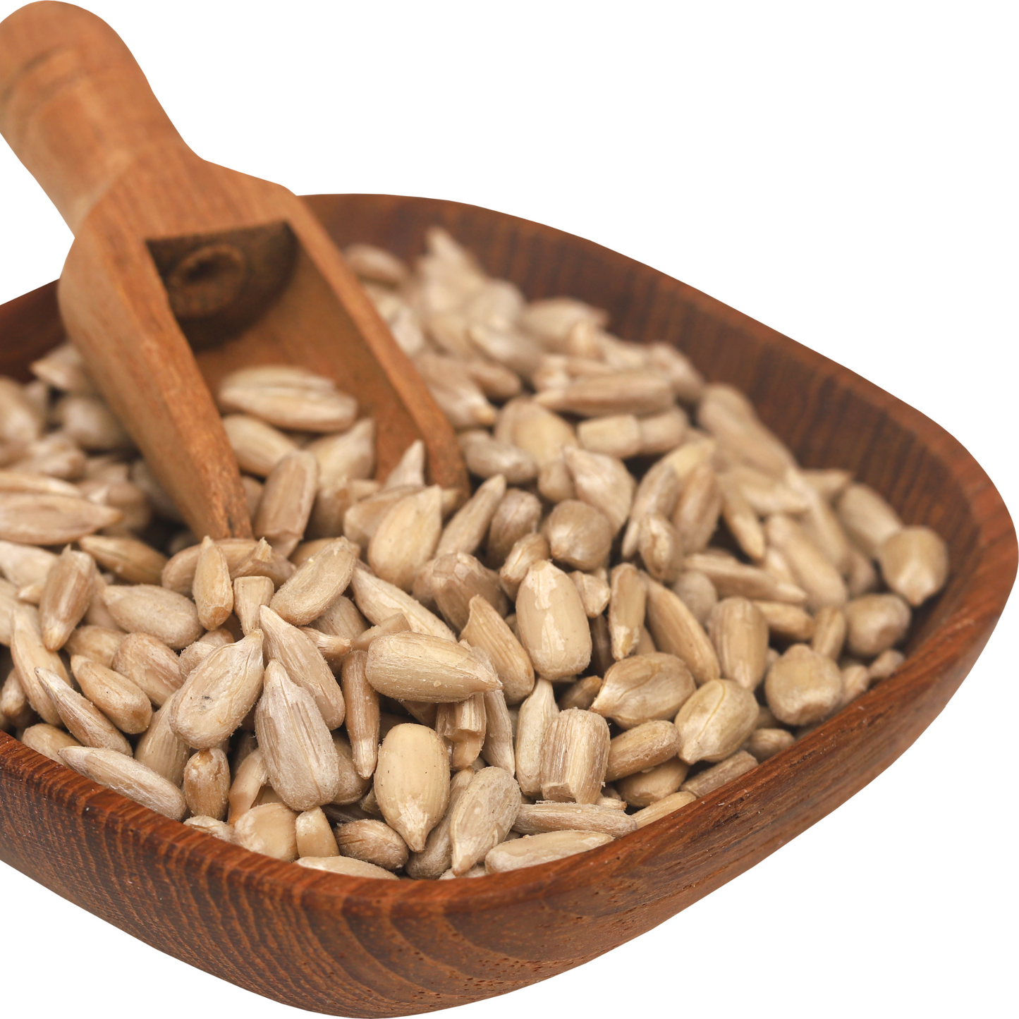 Sunflower Seeds | सूरजमुखी के बीज