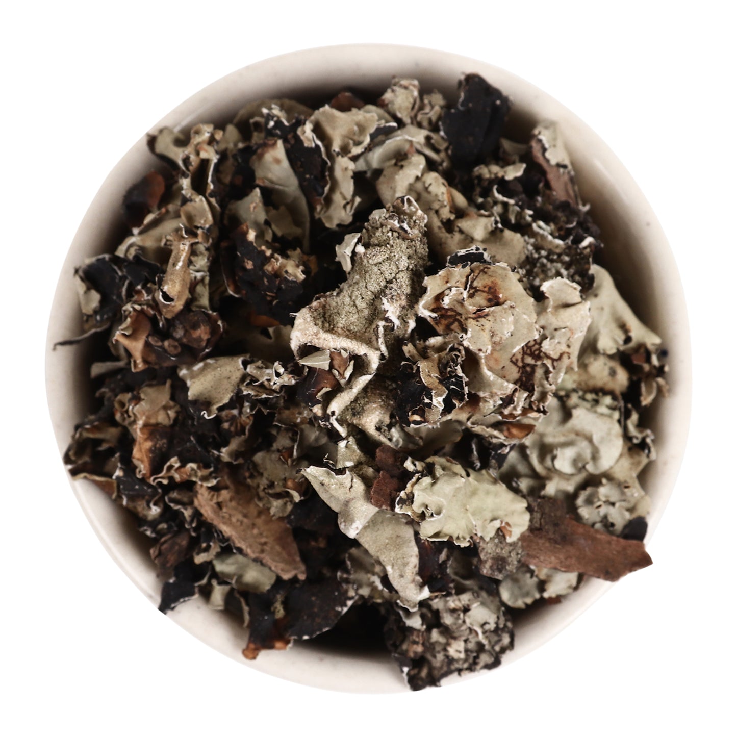 Stone Flower | Kalpasi | छड़ीला | पत्थर फूल | डगड़ फूल